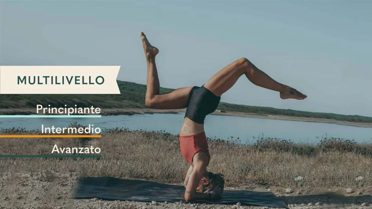 Focus Asana